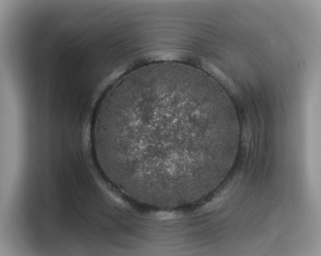 X0000116000394200911251104