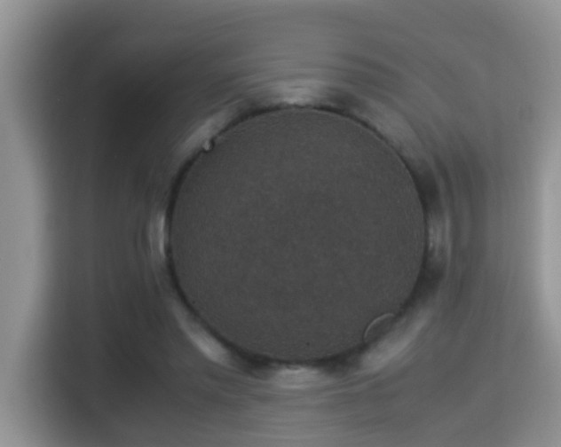 X0000116000397200911251104