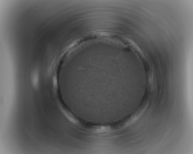 X0000116000398200911251104