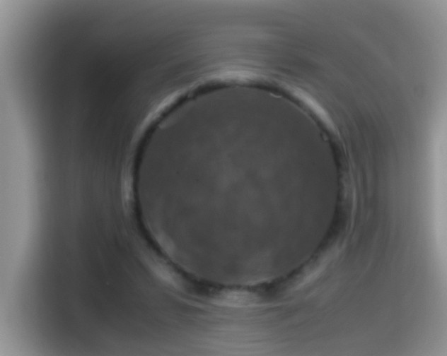 X0000116000399200911251104