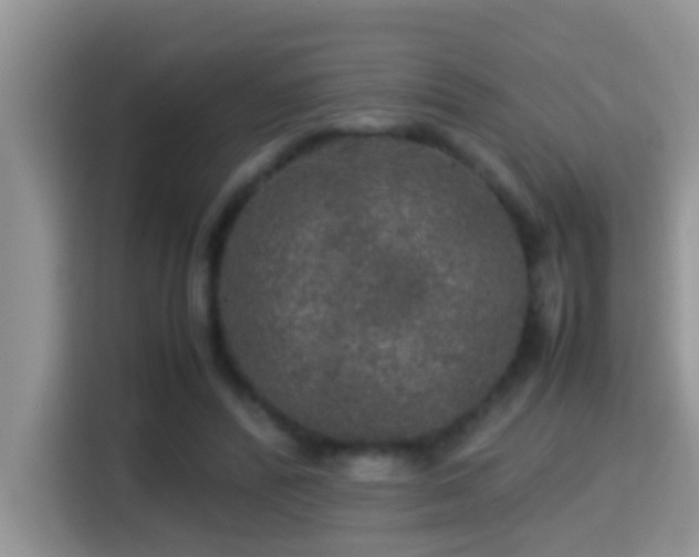 X0000116000400200911251104