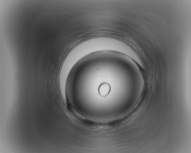 X0000116000401200911251104