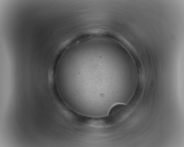 X0000116000403200911251104