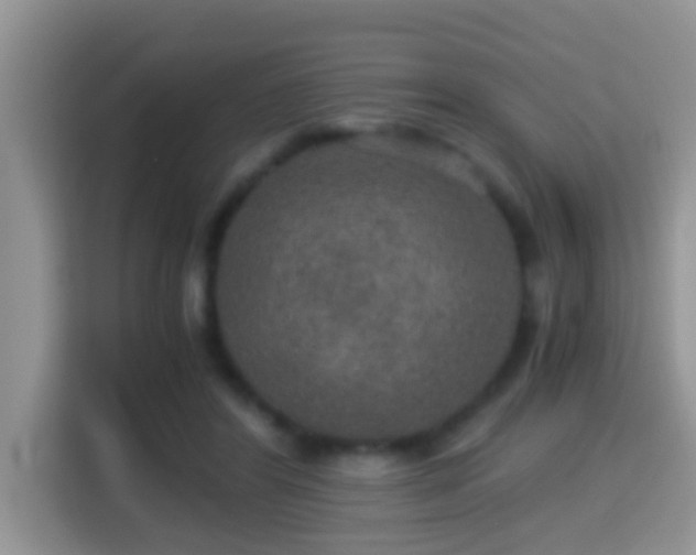 X0000116000404200911251104