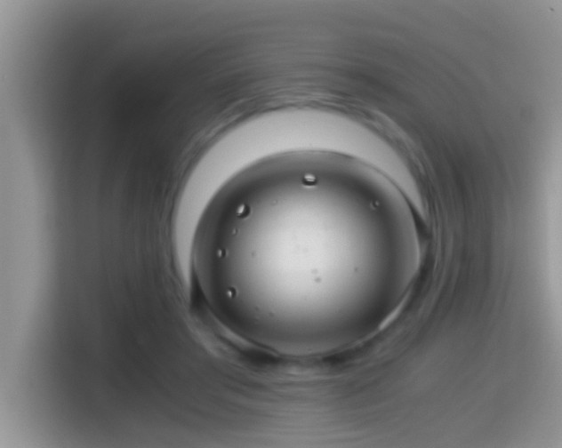 X0000116000405200911251104