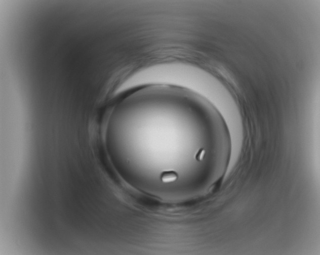 X0000116000407200911251104