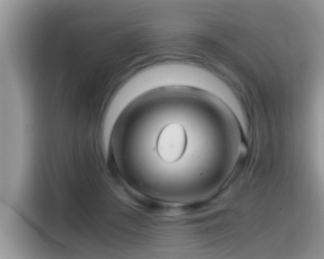 X0000116000409200911251104