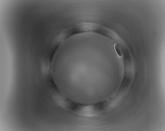 X0000116000411200911251104