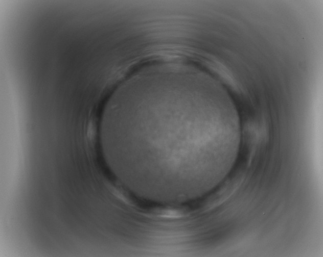 X0000116000412200911251104