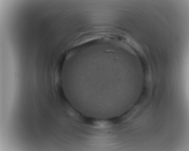 X0000116000417200911251104