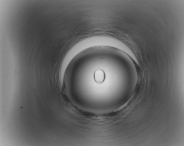 X0000116000419200911251104