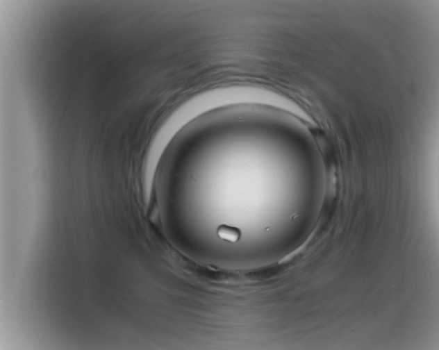 X0000116000423200911251104