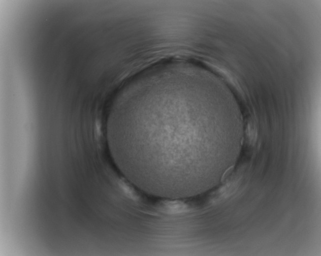 X0000116000424200911251104