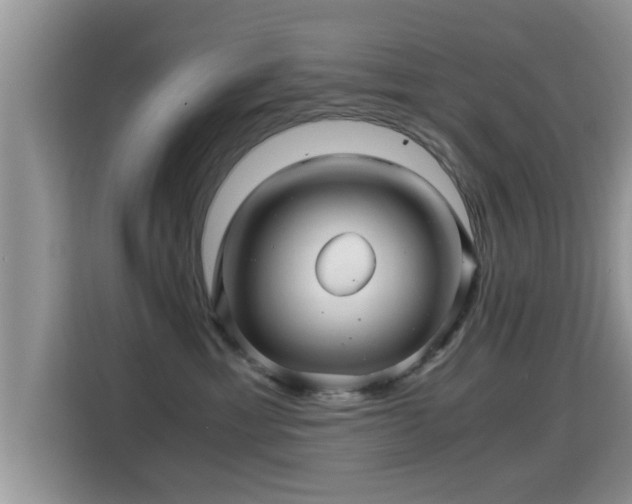 X0000116000429200911251104