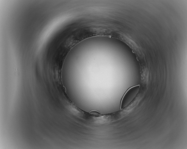 X0000116000430200911251104