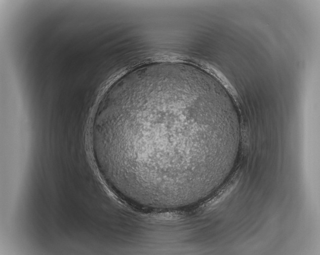 X0000116000433200911251103