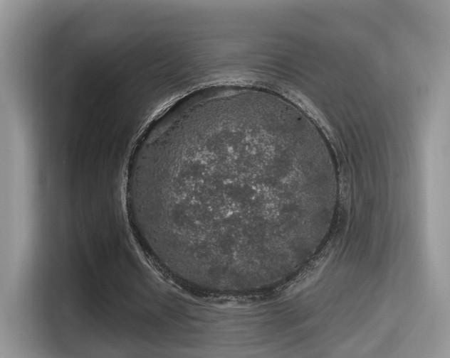 X0000116000434200911251103