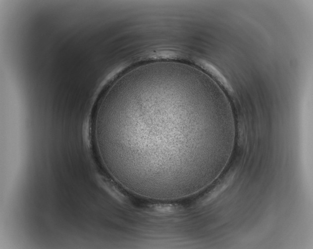 X0000116000439200911251103