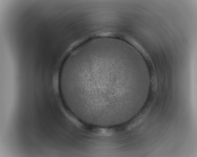 X0000116000442200911251103