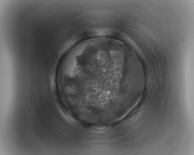 X0000116000443200911251103