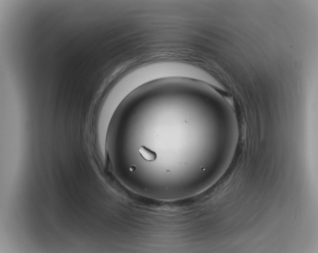 X0000116000444200911251103