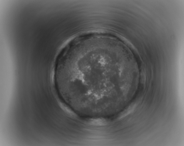 X0000116000446200911251103