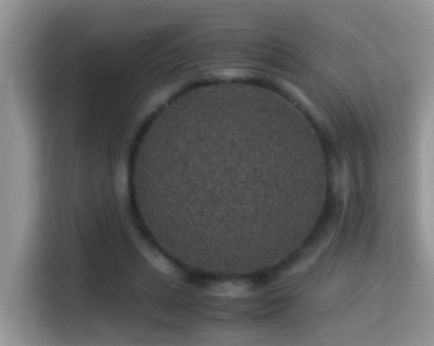 X0000116000447200911251103