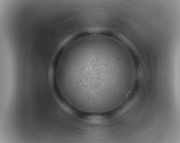 X0000116000448200911251103