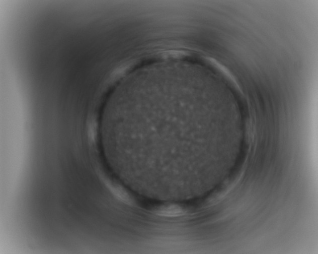 X0000116000451200911251104