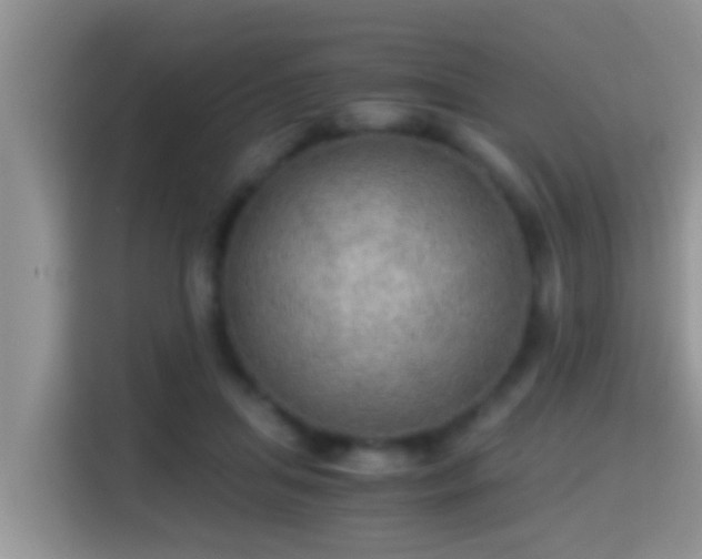 X0000116000455200911251104