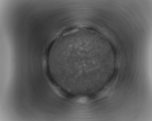 X0000116000456200911251104