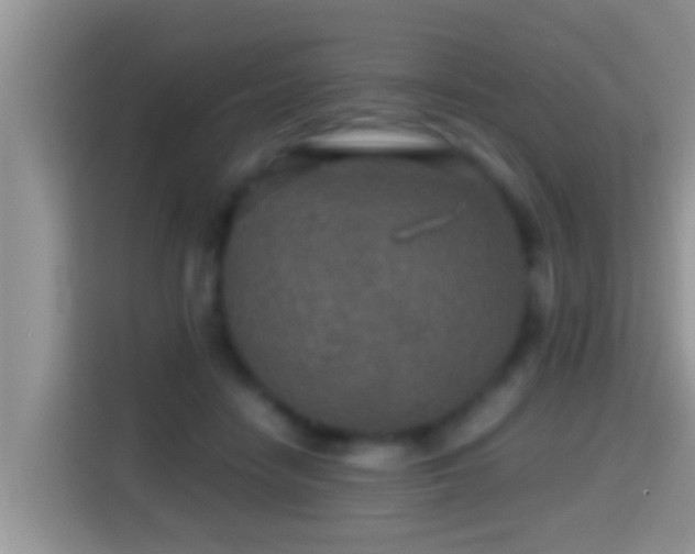 X0000116000458200911251104