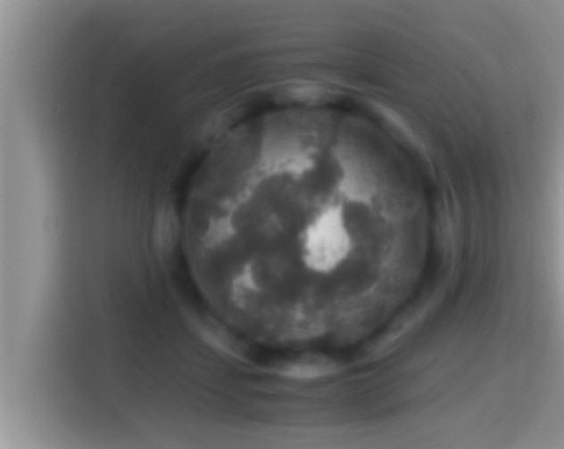 X0000116000459200911251104