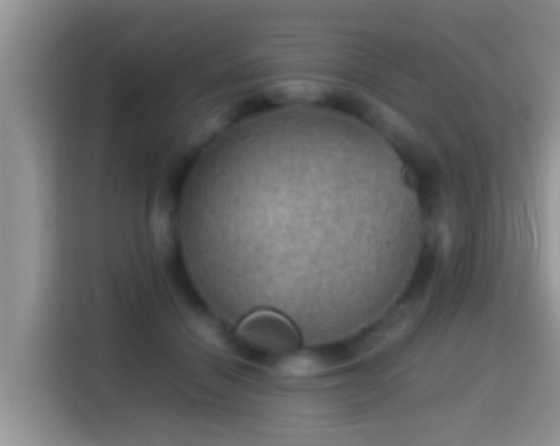 X0000116000460200911251104