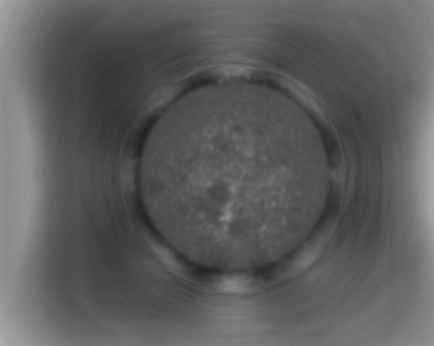 X0000116000462200911251104