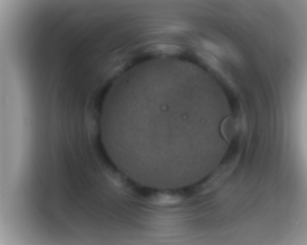 X0000116000464200911251104