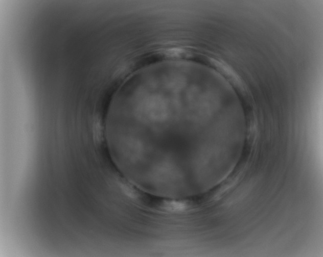 X0000116000469200911251104