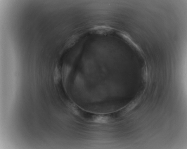 X0000116000471200911251104