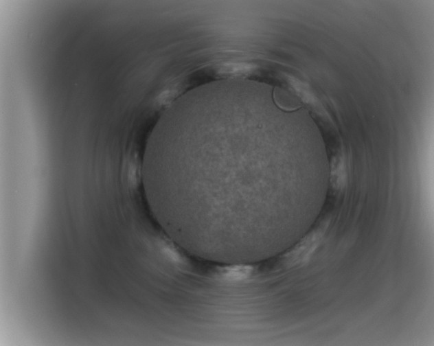 X0000116000474200911251104