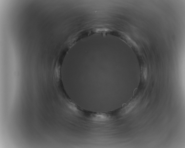 X0000116000475200911251104