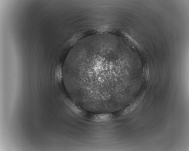 X0000116000479200911251104