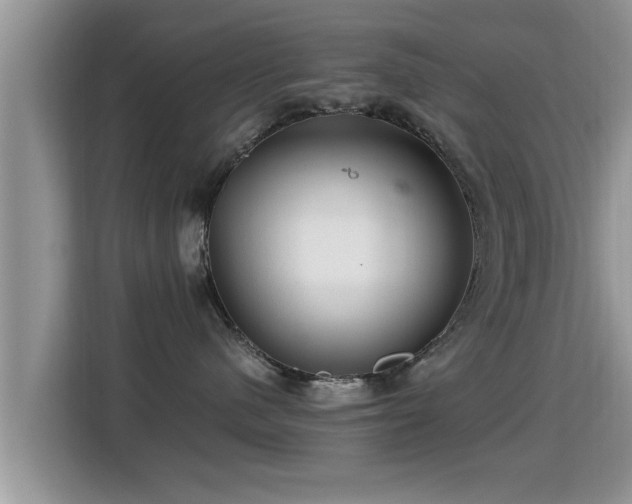 X0000116000480200911251104