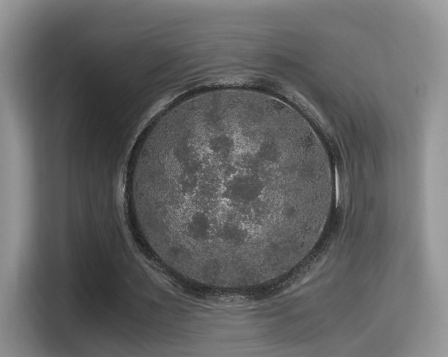 X0000116000483200911251103