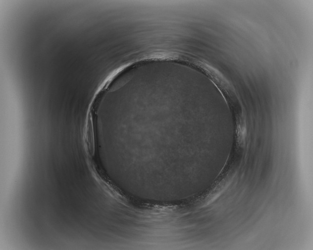 X0000116000484200911251103