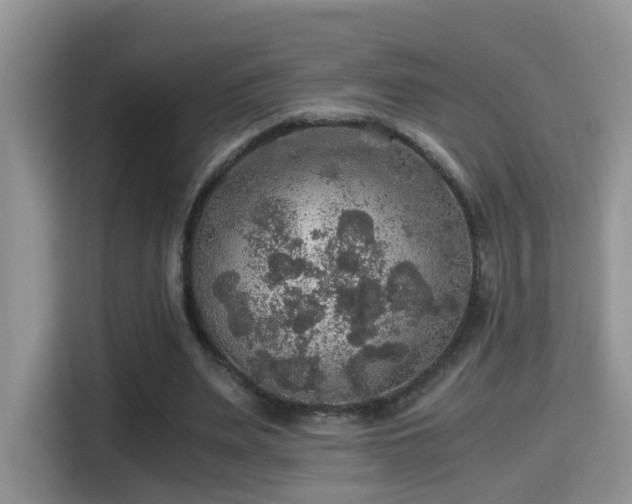 X0000116000487200911251103