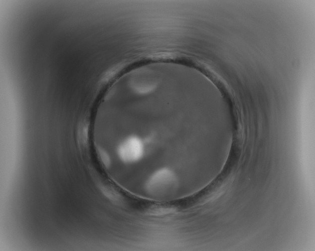 X0000116000491200911251103