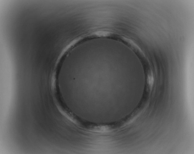 X0000116000492200911251103