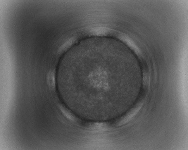 X0000116000493200911251103