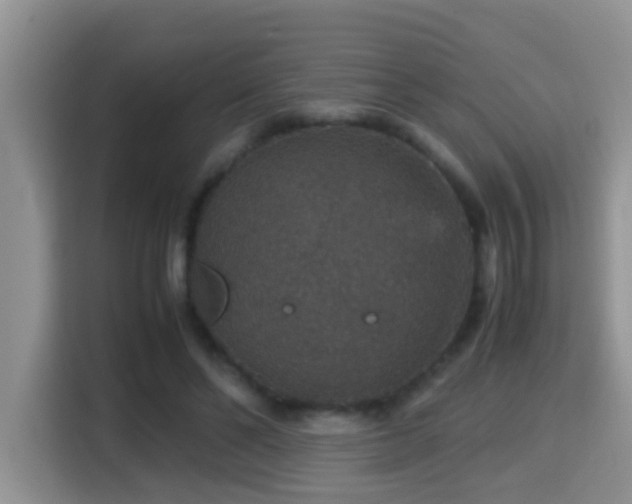 X0000116000494200911251103