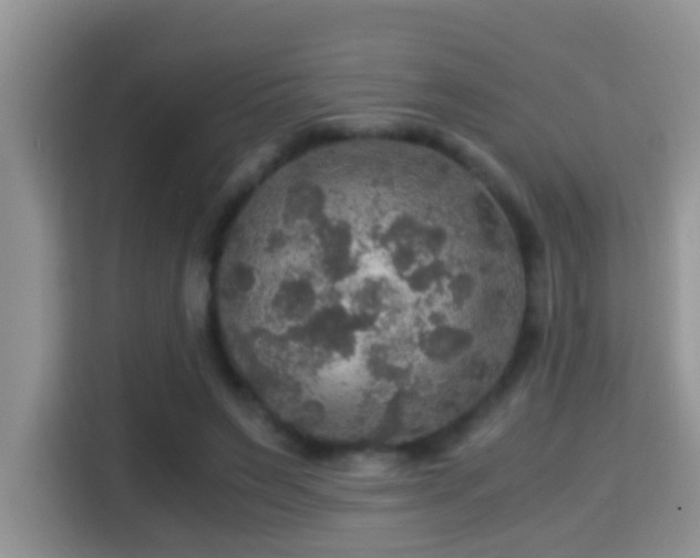 X0000116000495200911251103